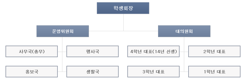 학생회 및 학년 대표 조직도